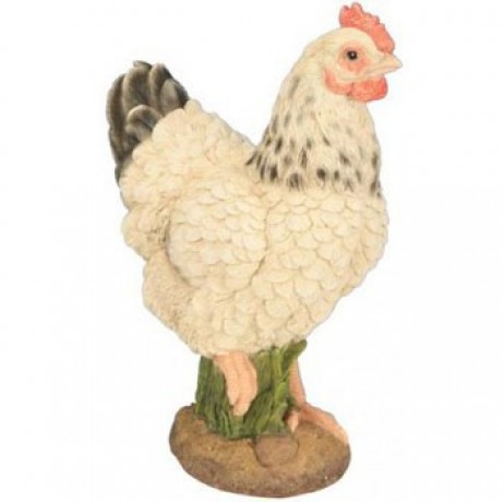 POULE PM BLANCHE POULE PM BLANCHE