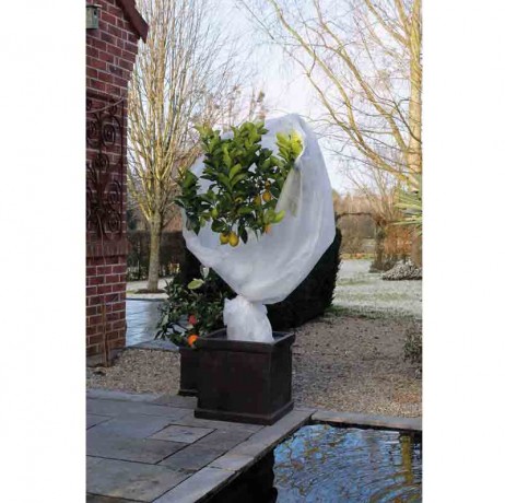Voile d'hivernage blanc 30g/m² Voile d'hivernage blanc 30g/m²